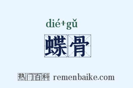 蝶骨是什么意思的图片